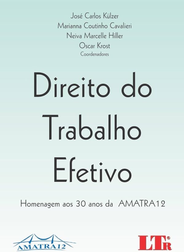 Direito do Trabalho Efetivo Amatra 12
