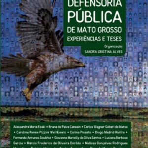 Defensoria Publica de Mato Grosso Experiencias e Teses