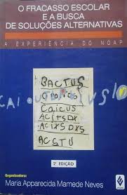 Fracasso Escolar e a Busca de Solucoes Alternativas