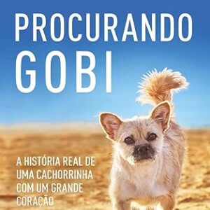 Procurando Gobi