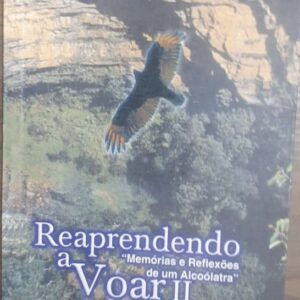 Reaprendendo a Voar 2 - Memorias e Reflexoes de um Alcoolatra