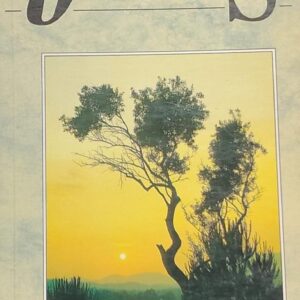A Vida e As Palavras de Jesus