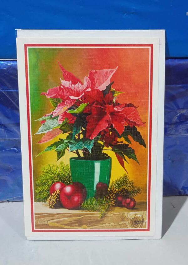 Cartão Postal de Natal - Flor do Natal