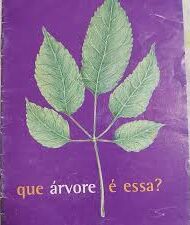 Que Arvore e Essa
