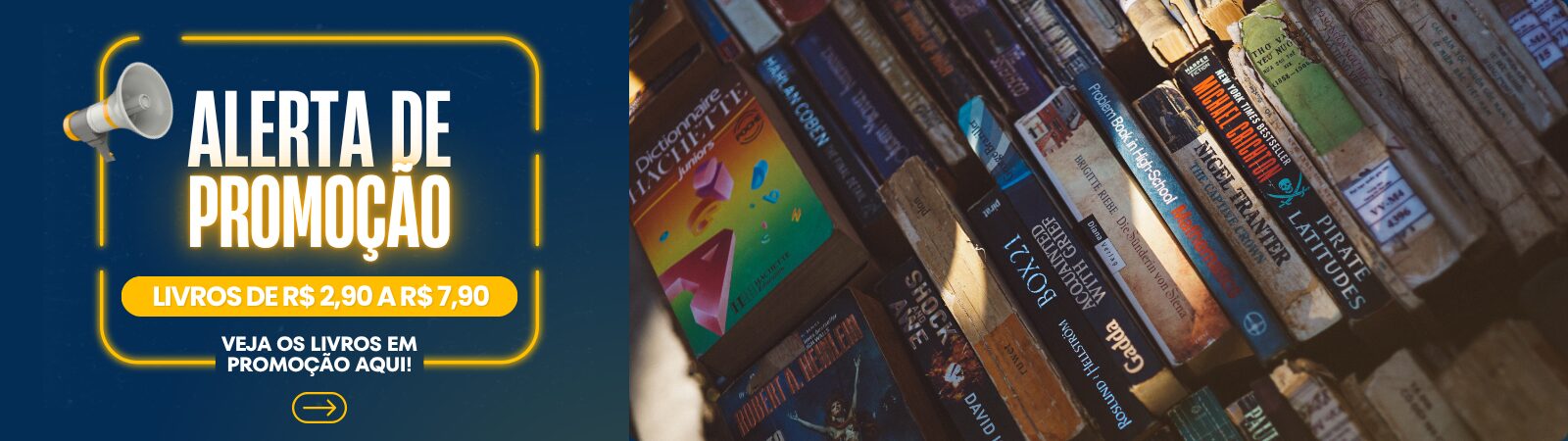 Livros-2