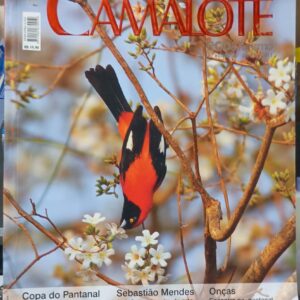 Revista Camalote Eco e Turismo Ano IV Edição 33