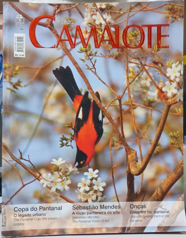 Revista Camalote Eco e Turismo Ano IV Edição 33