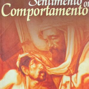 Amor Sentimento Ou Comportamento