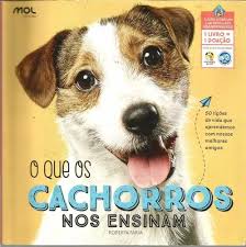 O Que Os Cachorros nos Ensinam