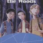 Lost In The Woods