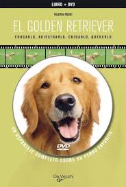 El Golden Retriever - Educarlo Adiestrarlo Cuidarlo Quererlo
