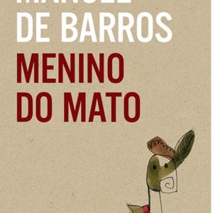 Menino do Mato