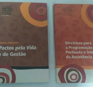 Regulamento - Pactos Pela Vida e de Gestão - Série Pactos Pela Saúde 2006