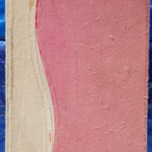 Bíblia do Adolescente - Aplicação Pessoal