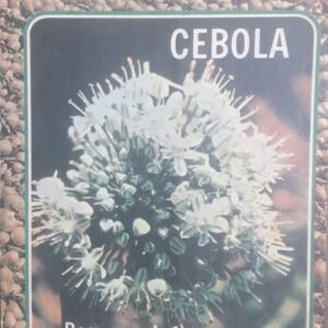 Cebola Resumos Informativos Vol 1