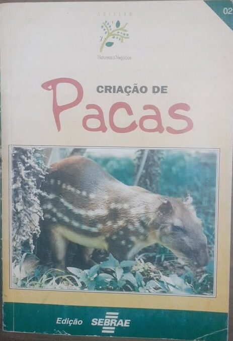 Criação de Pacas