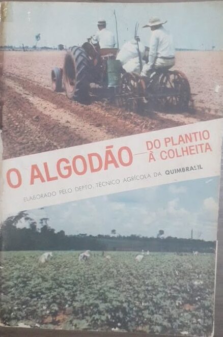 O Algodão do Plantio a Colheita