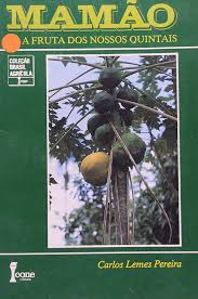 Mamão a Fruta dos Nossos Quintais