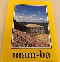 Mam Ba - o Museu de Arte Moderna da Bahia