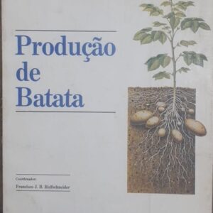 Produção de Batata