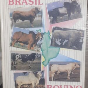 Brasil Bovino